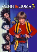 Один дома 3 (1997) смотреть онлайн бесплатно