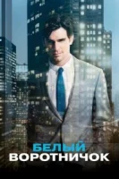 Белый воротничок (2009) смотреть онлайн бесплатно
