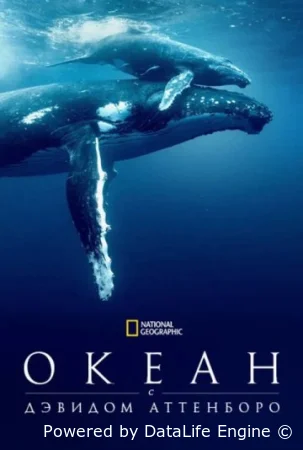 Дэвид Аттенборо: Океан (2025) смотреть онлайн бесплатно